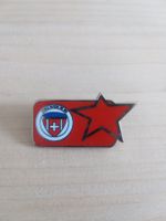 Médaille RED Prince intermédiaire école suisse de ski - ESS