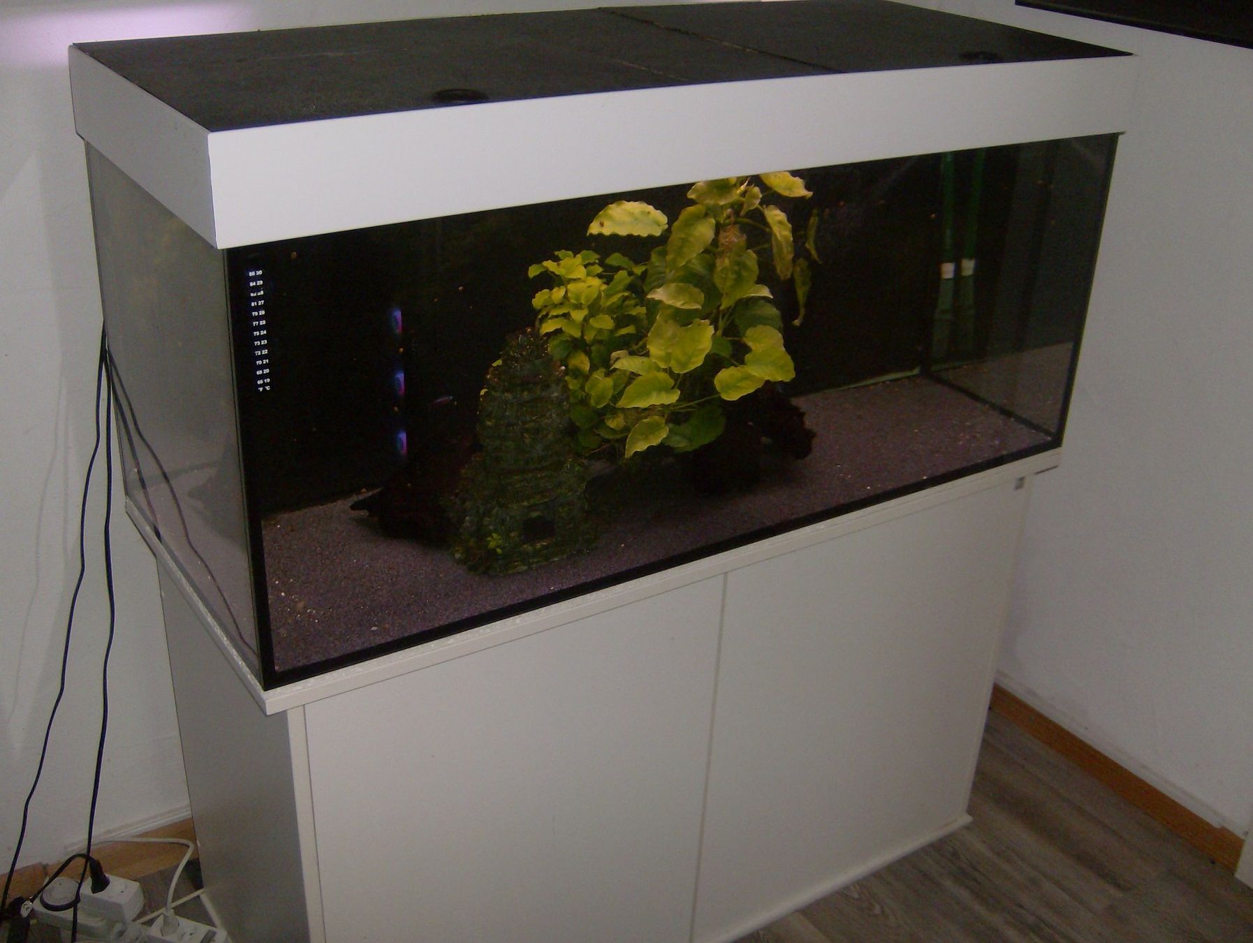 Aquarium: Aquarium Kompl. mit Möbel / Filter / Heizung ab 1.- !!!!!!!! – Gebraucht aus rorschach von fut_bpw5
