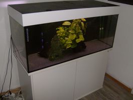 Aquarium Kompl. mit Möbel / Filter / Heizung ab 1.- !!!!!!!!