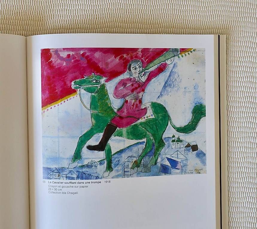 Libri: Livre sur Marc Chagall – Nuovo (secondo la descrizione) da Genève venduto da fto_sz8d 2