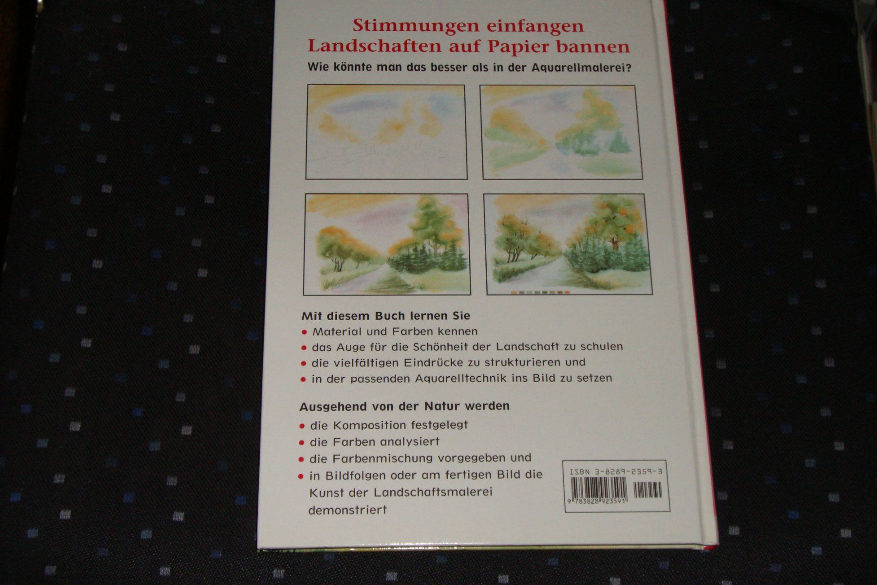 Libri: Landschaftsaquarelle - Technik und Komposition – Usato da Bern venduto da carola31 1
