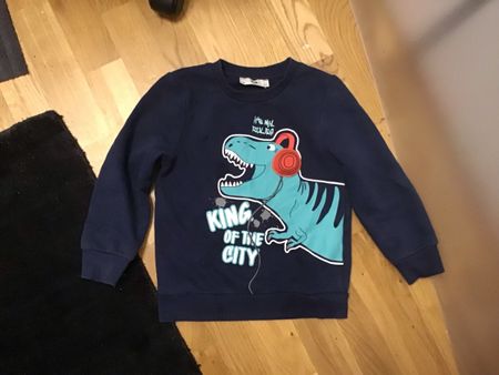 Cooler Dino-Pullover von C&A, Gr. 116 - Guten Zustand!