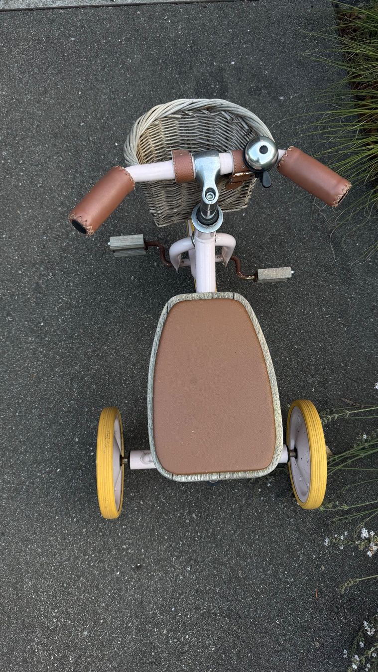 Veicoli per bambini: Kleinkindervelo mit Korb – Usato da Basel venduto da VIO100 2