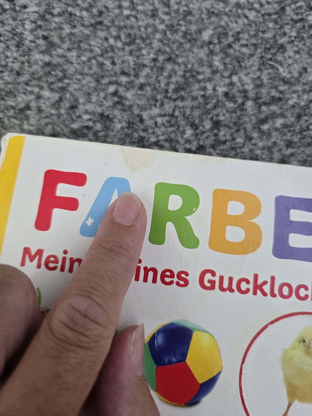 Bücher: Konvolut 7 Kinderbuecher – Gebraucht aus Unterentfelden von Panda-87 3