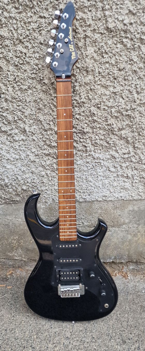 Aria Musikinstrumente: Guitare électrique Aria pro II the cat – Gebraucht aus Lausanne von ama_2fz8