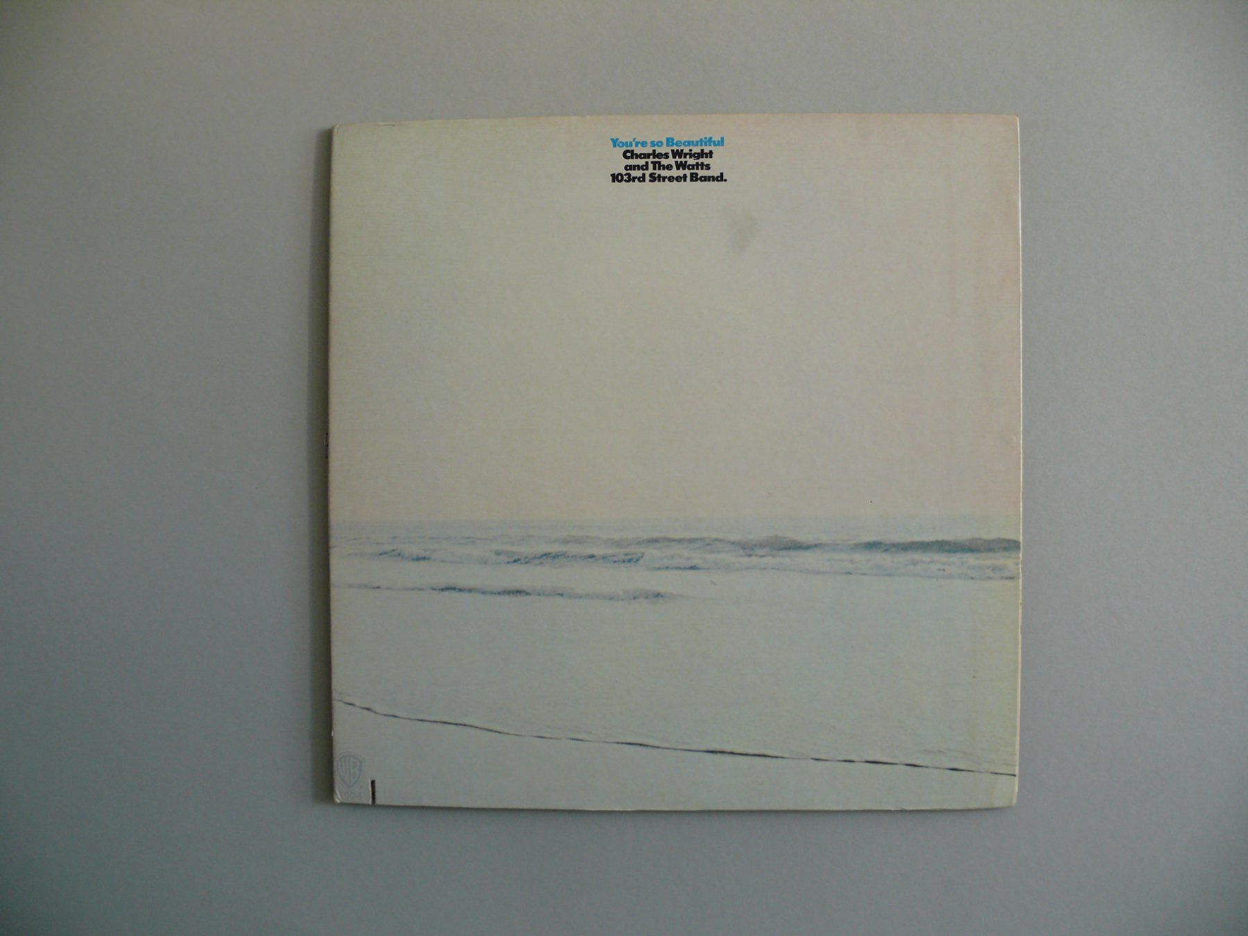 Dischi in vinile: Charles Wright and The Watts – Usato da Scherzingen venduto da packtesan