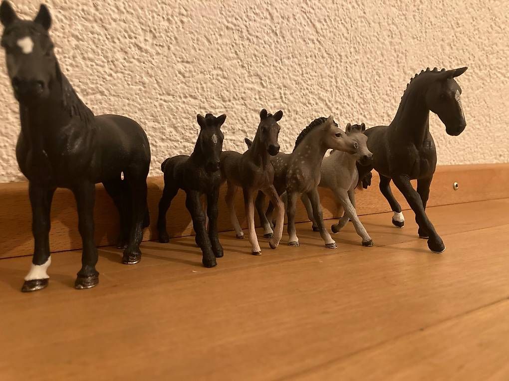 Giocattoli: Schleich Pferde dunkel und Fohlen grau – Usato da Zürich venduto da S0D4ZH 1