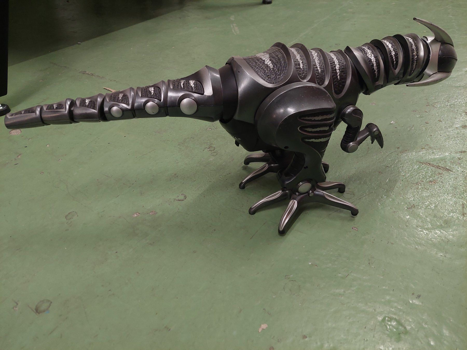 Tutte le decorazioni: Dinosaurier – Usato da Ermenswil venduto da Ingram0 1