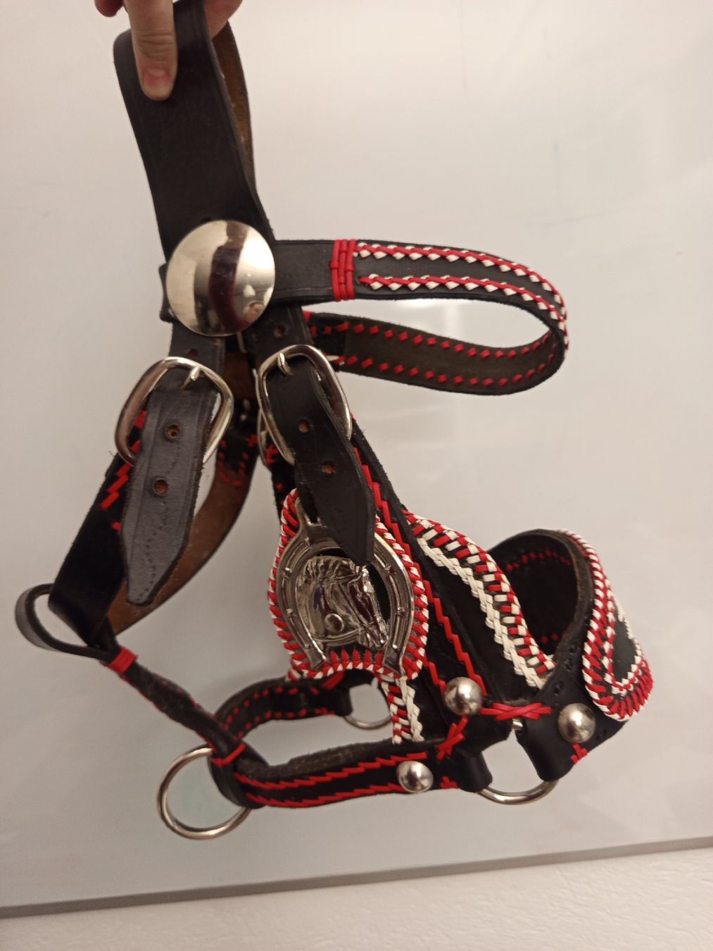 Briglie & Cavezze: Schow- Zier- Halfter, dickes Leder – Usato da Neyruz FR venduto da pri_gz79 1