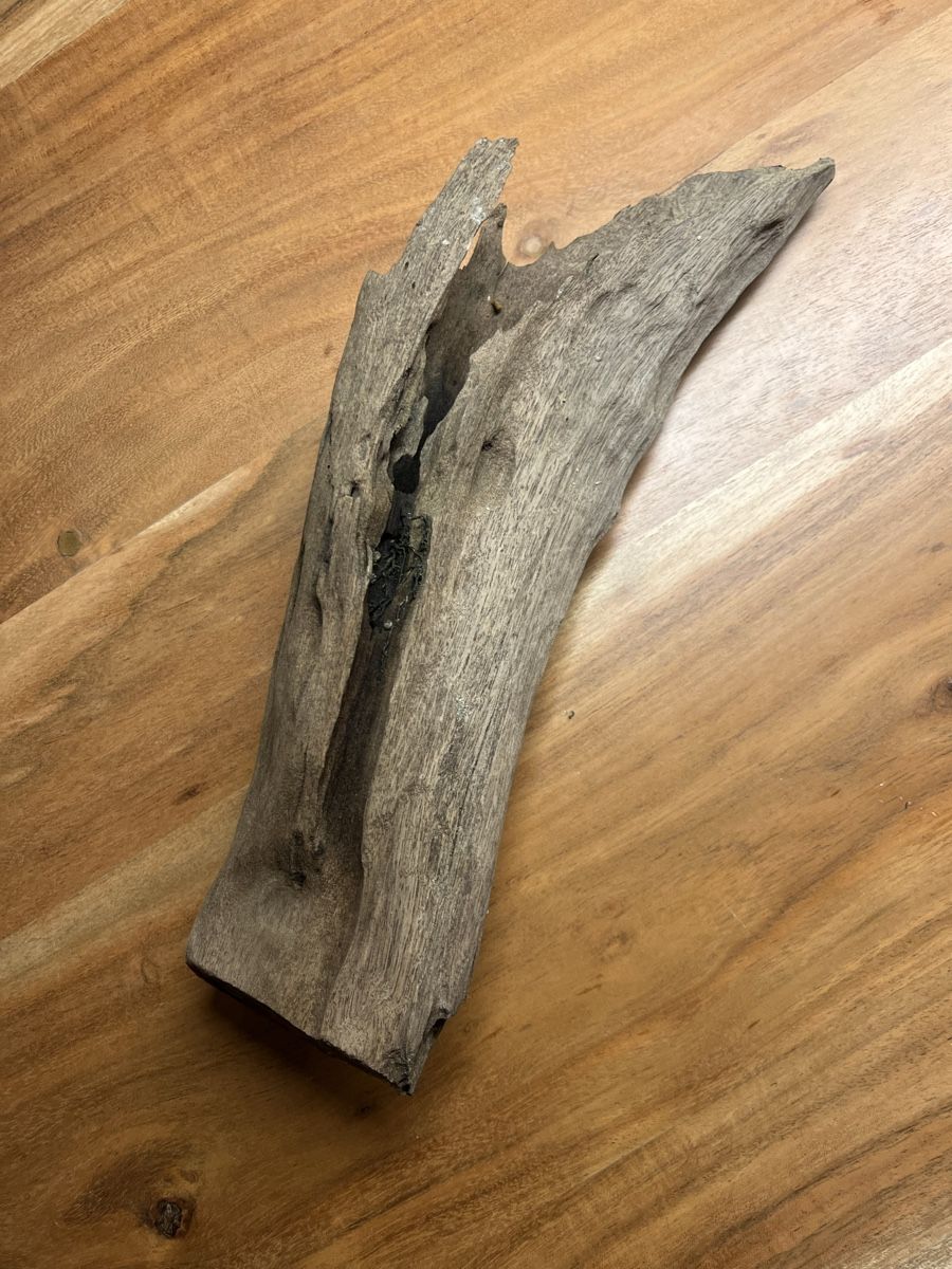Tutte le decorazioni: Mangrovenholz 30cm - Aquariumdeko – Usato da Wauwil venduto da tna 2