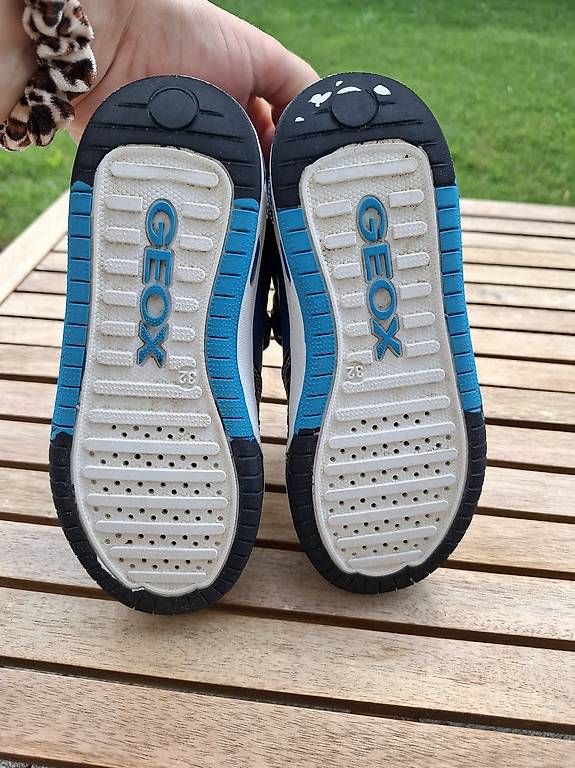 Geox Scarpe per ragazzi: Geox Sneakers Gr. 32 Blinkies – Usato da Männedorf venduto da Einhornmama 1