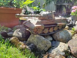Königstiger entdeckt