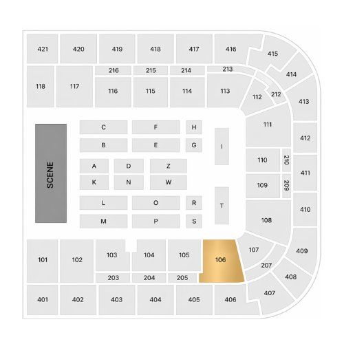Biglietti: Céline Dion Tickets - Samstag 19.09.2026 - Block 106 – Nuovo e nell'imballaggio originale da Wohlen AG venduto da OOS-Tickets 1