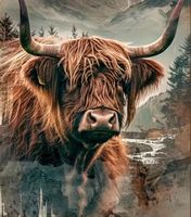 Malen nach Zahlen-kreativ-Highland-Kuh  40x50cm