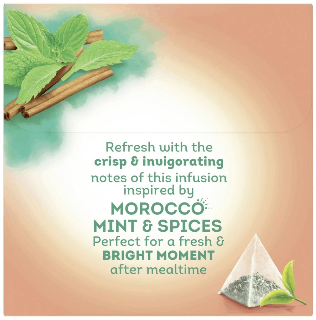 Cibi & Specialità: Lipton Tee 'Morocco Mint & Spices' Pyramidenbeutel – Nuovo e nell'imballaggio originale da Gampelen venduto da Geschenkxy 2