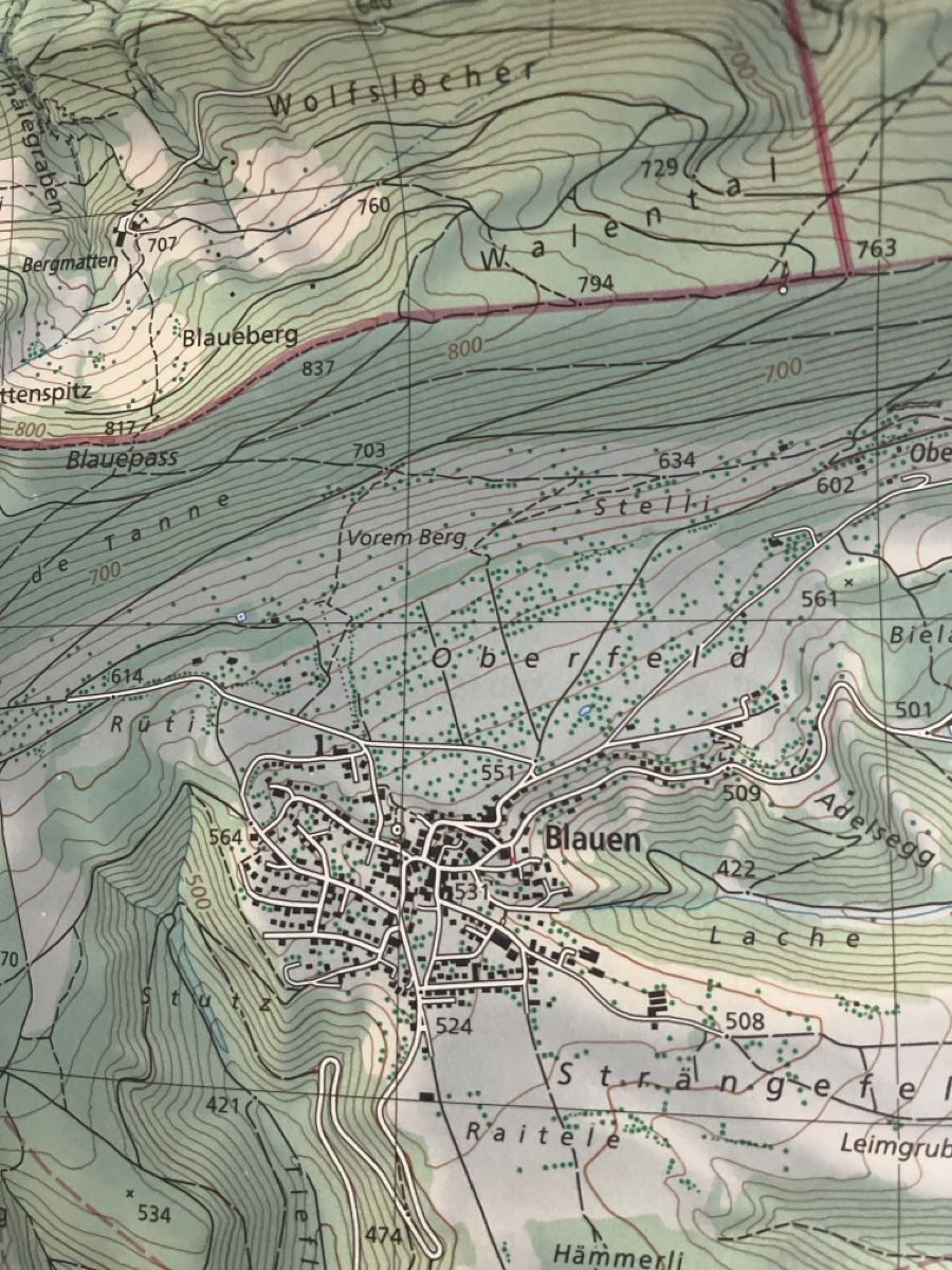 Cartine & Atlanti: 25k landeskarten schweiz – Usato da Weissbad venduto da Praxedis_P51 2