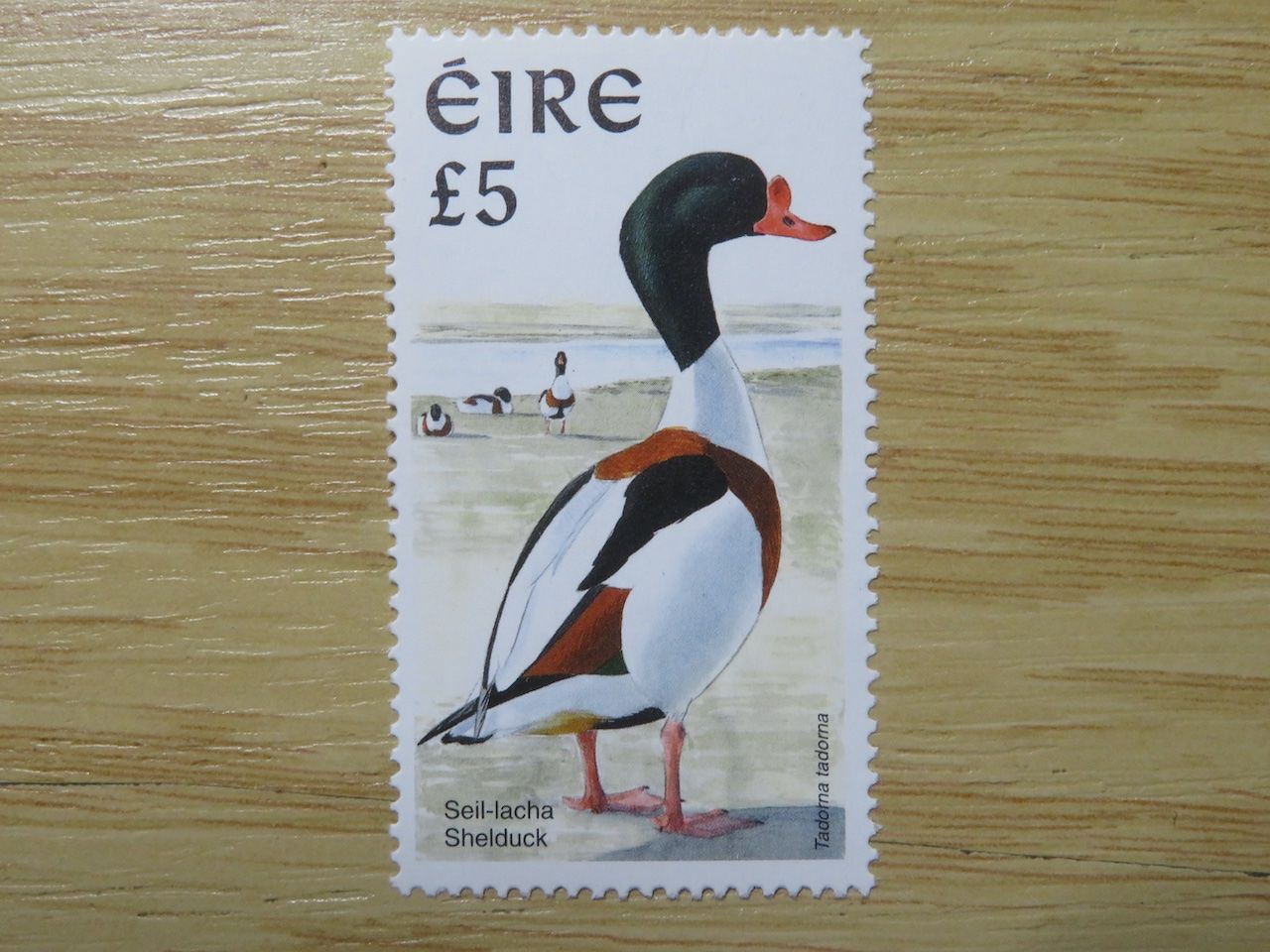 Tutti i francobolli: Vögel Brandgans Irland Mi 1021** – Nuovo (secondo la descrizione) da Spreitenbach venduto da heitersberg54