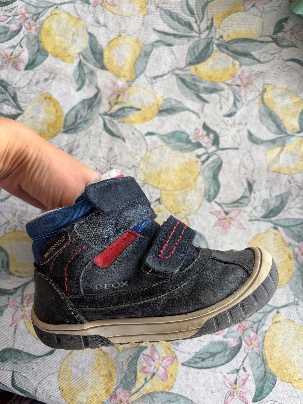 Geox Scarpe per ragazzi: Geox winter Schuhe 26 – Usato da Schlieren venduto da gor_jgx7 1