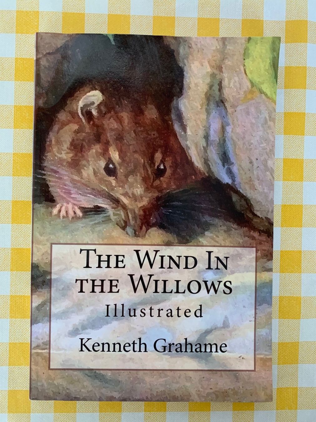 Bücher: The Wind In the Willows von Paul Bransom – Neu (gemäss Beschreibung) aus Zürich von kicconet