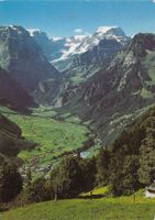 Braunwald GL
