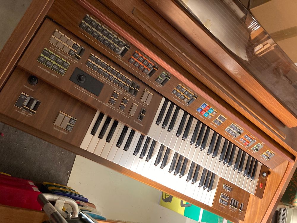 Yamaha electone store fe 50