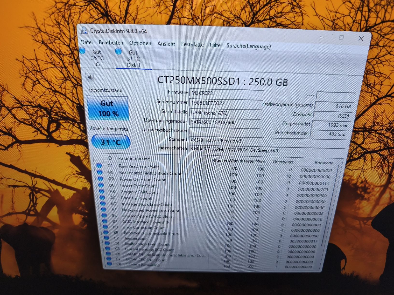 Crucial Harddisks: 2 Festplatten 250 Gb – Gebraucht aus Burgdorf von weggu.666 2