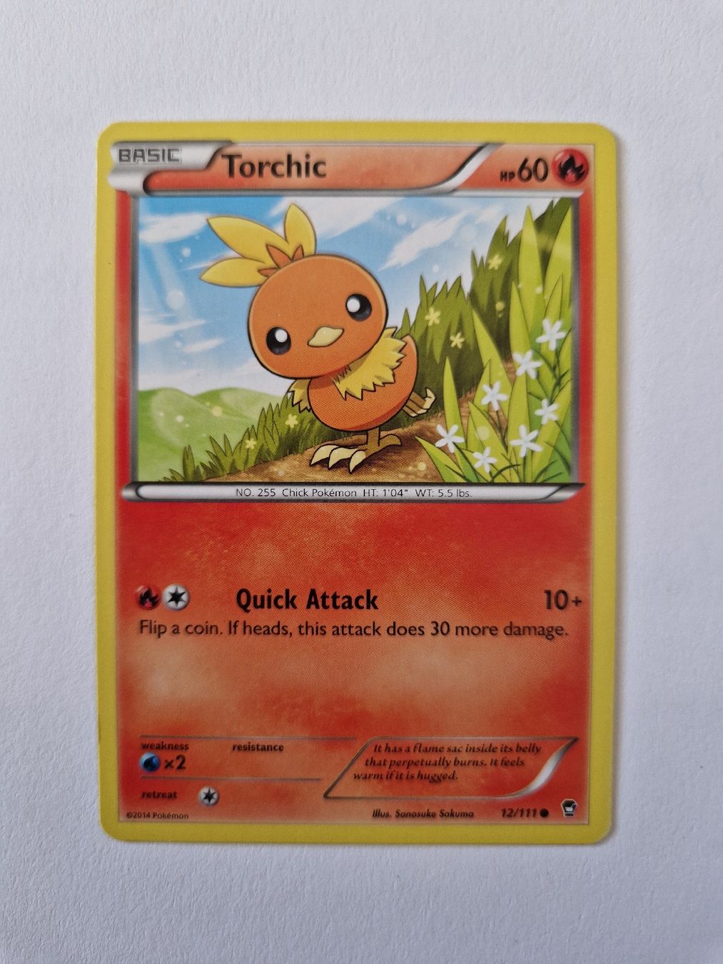 Pokémon Sammelbilder & Trading cards: Torchic - Furious Fists - EN  – Neu (gemäss Beschreibung) aus Romont FR von raj_sjv9