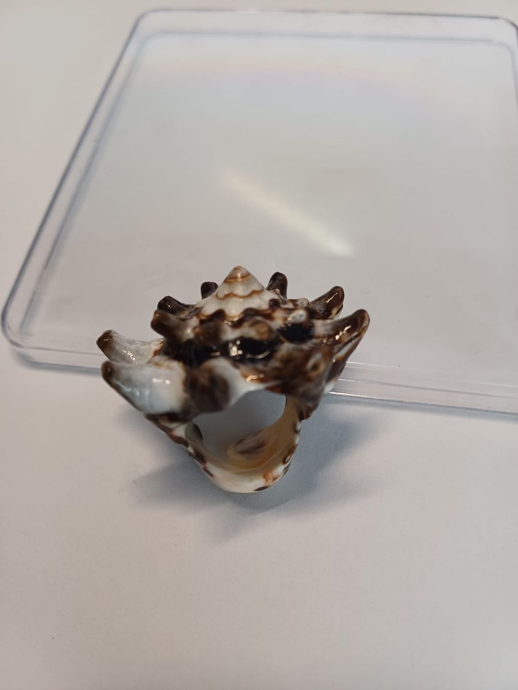 Ringe: Wunderschöner, grosser, echter Muschelring – Gebraucht aus Urnäsch von G.Kertscher 1