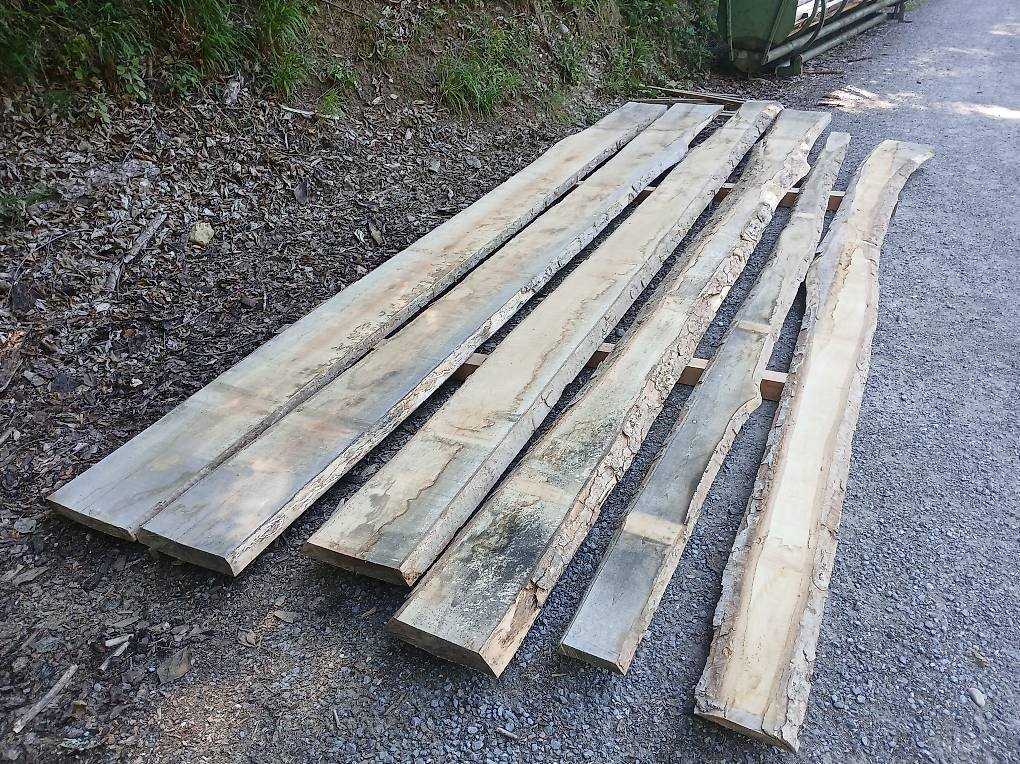 Articles en bois: Ahorn bretter lufttrocken – Neuf (Voir description) à Willisau par wood1988 2