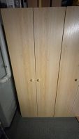 Universal-Schrank 2-türig, mit 5 Tablaren (2x verfügbar)