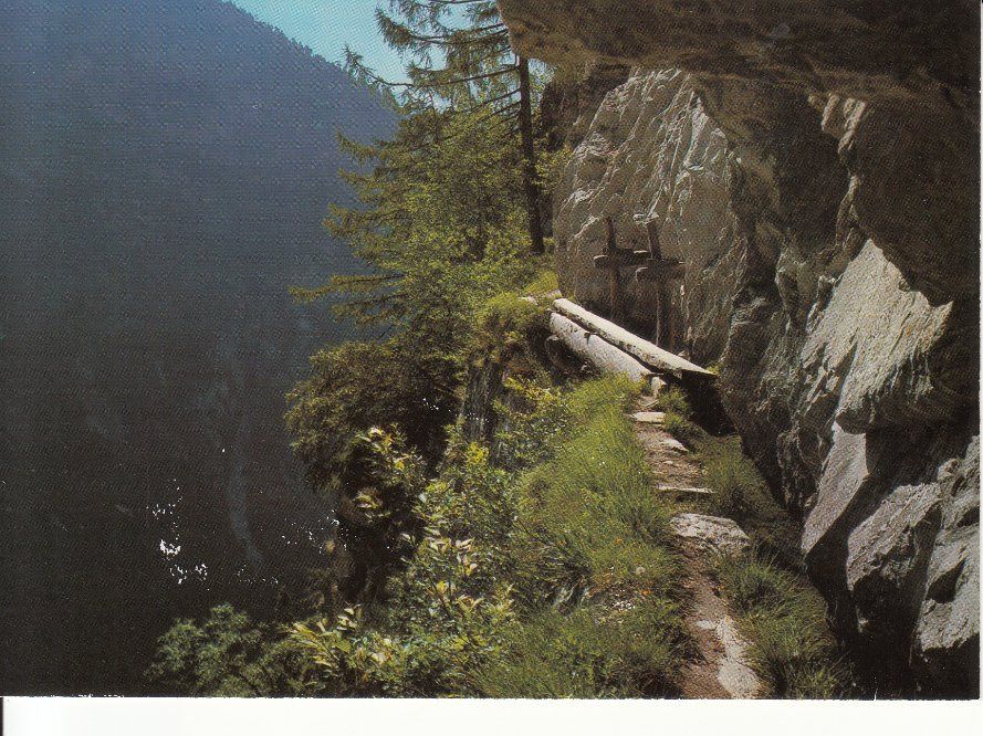 Cartoline postali: Baltschiedertal Niwärch 1985 – Usato da Bürglen TG venduto da StampGraf