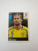 Panini UEFA EM 2008 Sticker - Nr. 391
