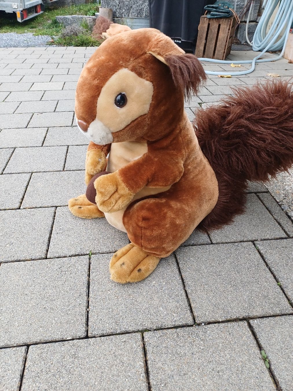 Giocattoli: Grosses Plüsch Eichhörnchen mit Eichel, ca. 55 cm, gebraucht – Usato da Zuckenriet venduto da Res. 1