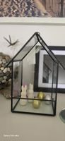 Glas Deko Haus schwarz – modernes Terrarium / Deko Vitrine