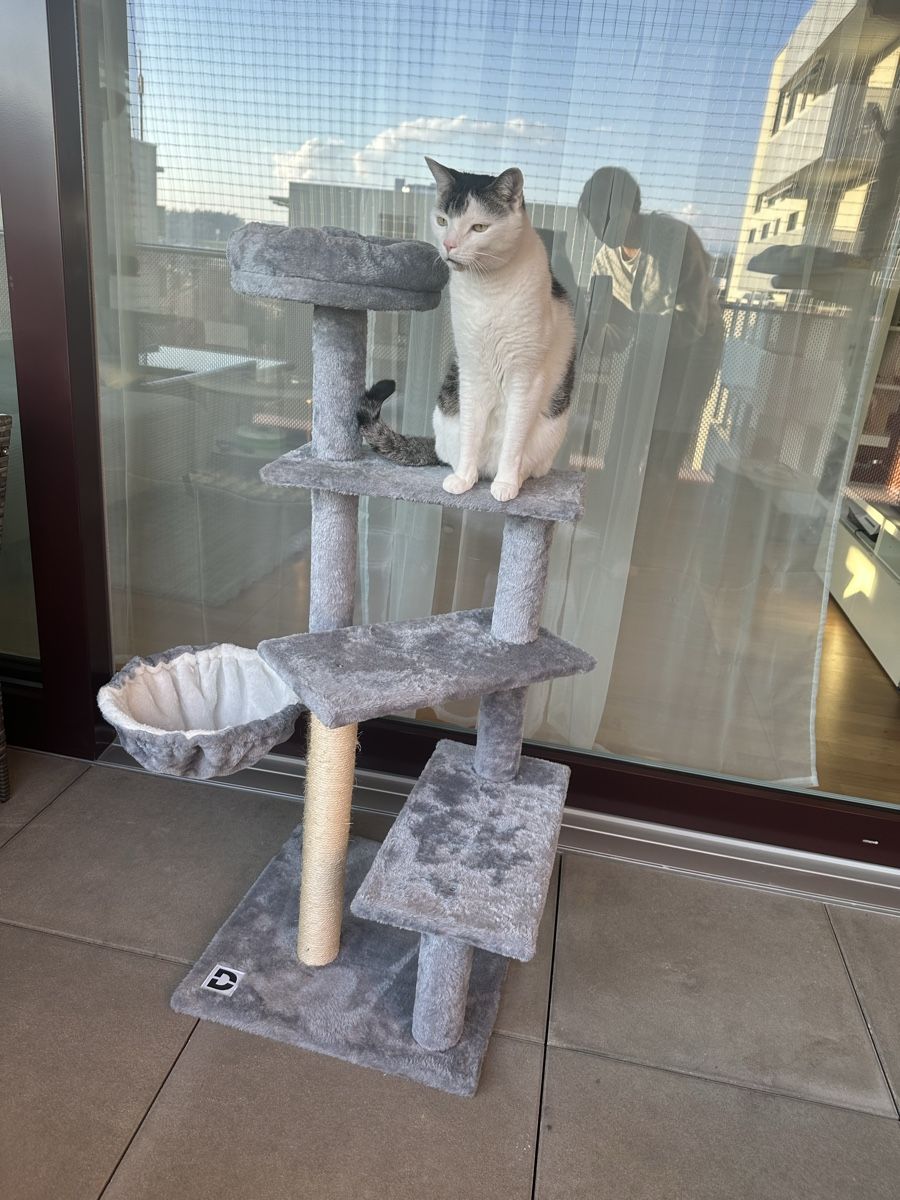 Arbres à chats: Katzenbaum – D'occasion à Düdingen par belada.d