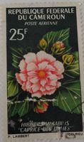 Timbre Cameroun 25F Hibiscus caprice des dieux