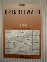 Landeskarte der Schweiz 1:25000 – GRINDELWALD  – 2001