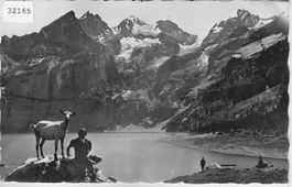 Kandersteg - Oeschinensee - Ziege