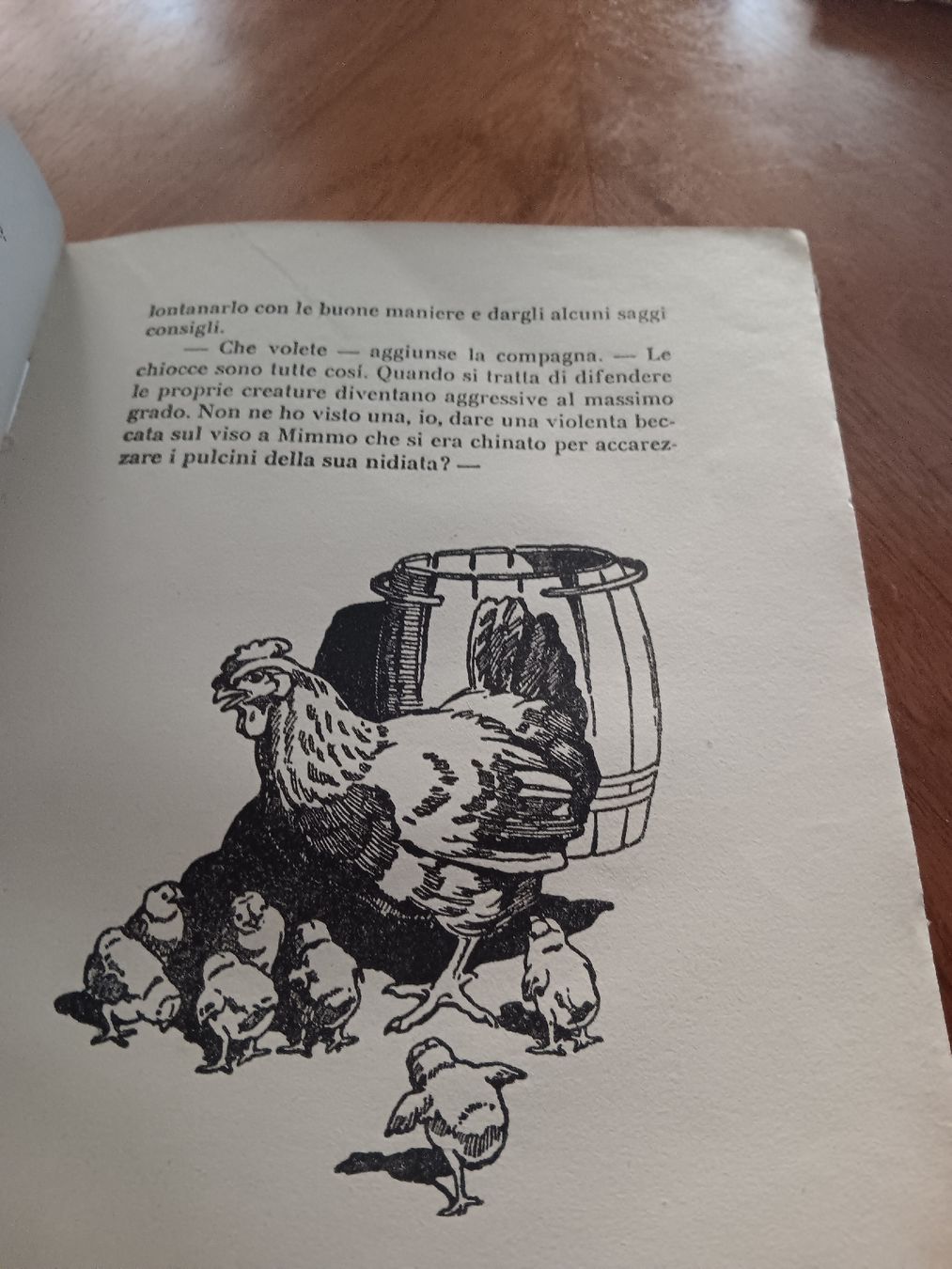 Bücher: altes Kinder Buch – Gebraucht aus Ambrì von Maerz87 3
