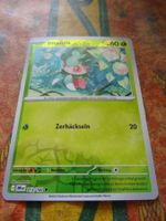 POKEMON  Imantis    I  DRI DE   013/182   KP60  2025
