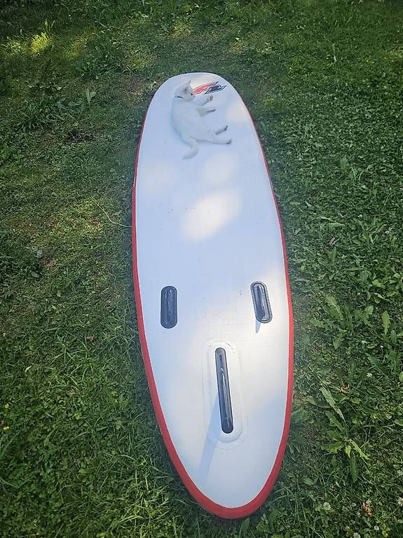 Schlauchboote, Kajaks & Kanus: F2 Stand up Paddle SUP – Gebraucht aus Adliswil von natascha_89 3