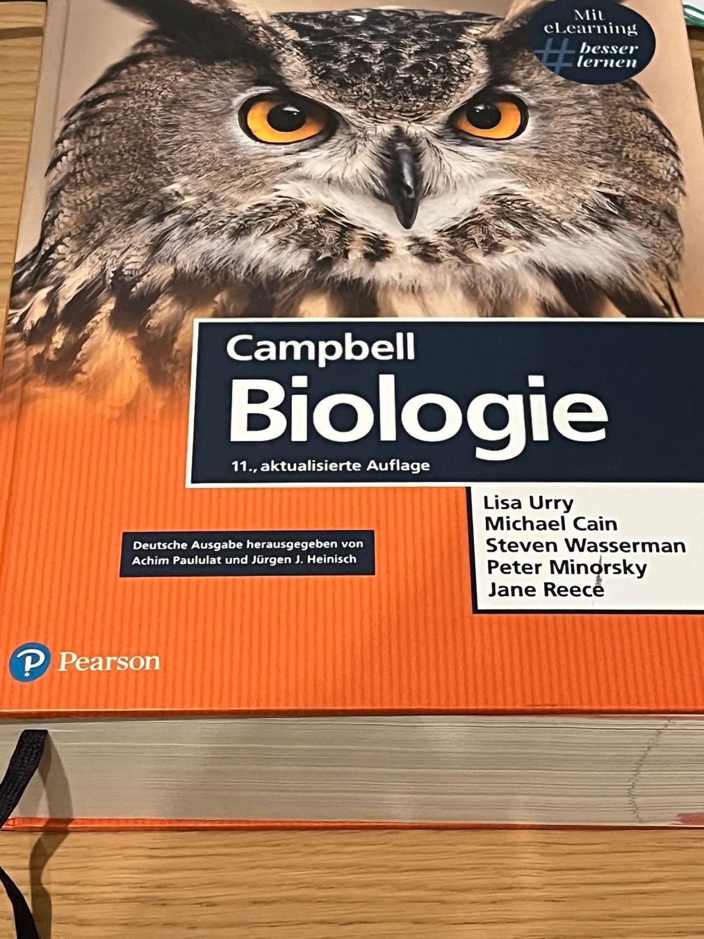 Libri: Biologie Campbell Neu – Nuovo (secondo la descrizione) da Schlieren venduto da abi_lc9g