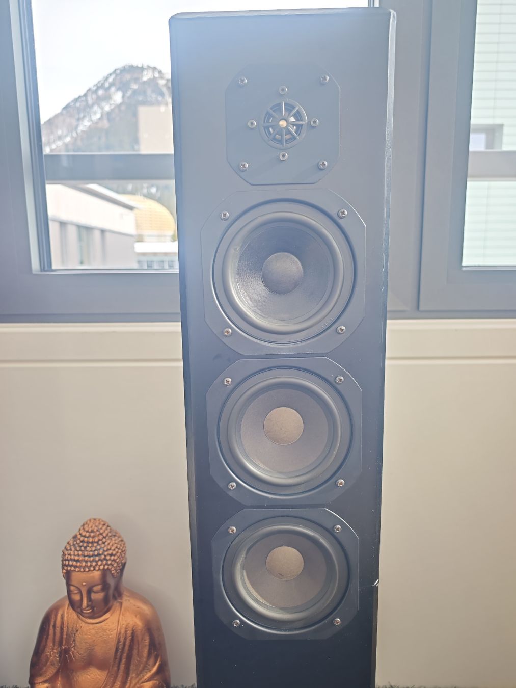 Visaton Casse acustiche: Visaton Skyline, High Fidelity Sound – Usato da Davos Dorf venduto da bertuuu 2