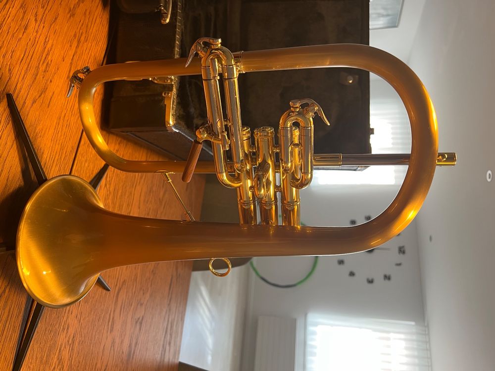 Carol Brass Flügelhorn CFL6200GSS Kaufen auf Ricardo