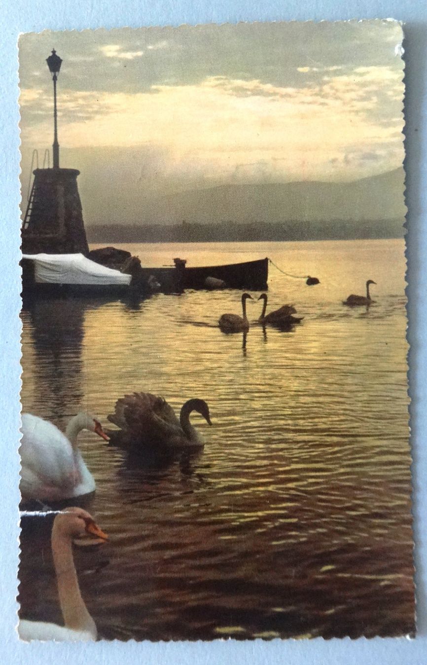 Cartoline postali: Aurore sur le Lac Léman – Difettoso da Fétigny venduto da Billy2miny
