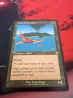 Magic The Gathering Birds of Paradise old border, NM