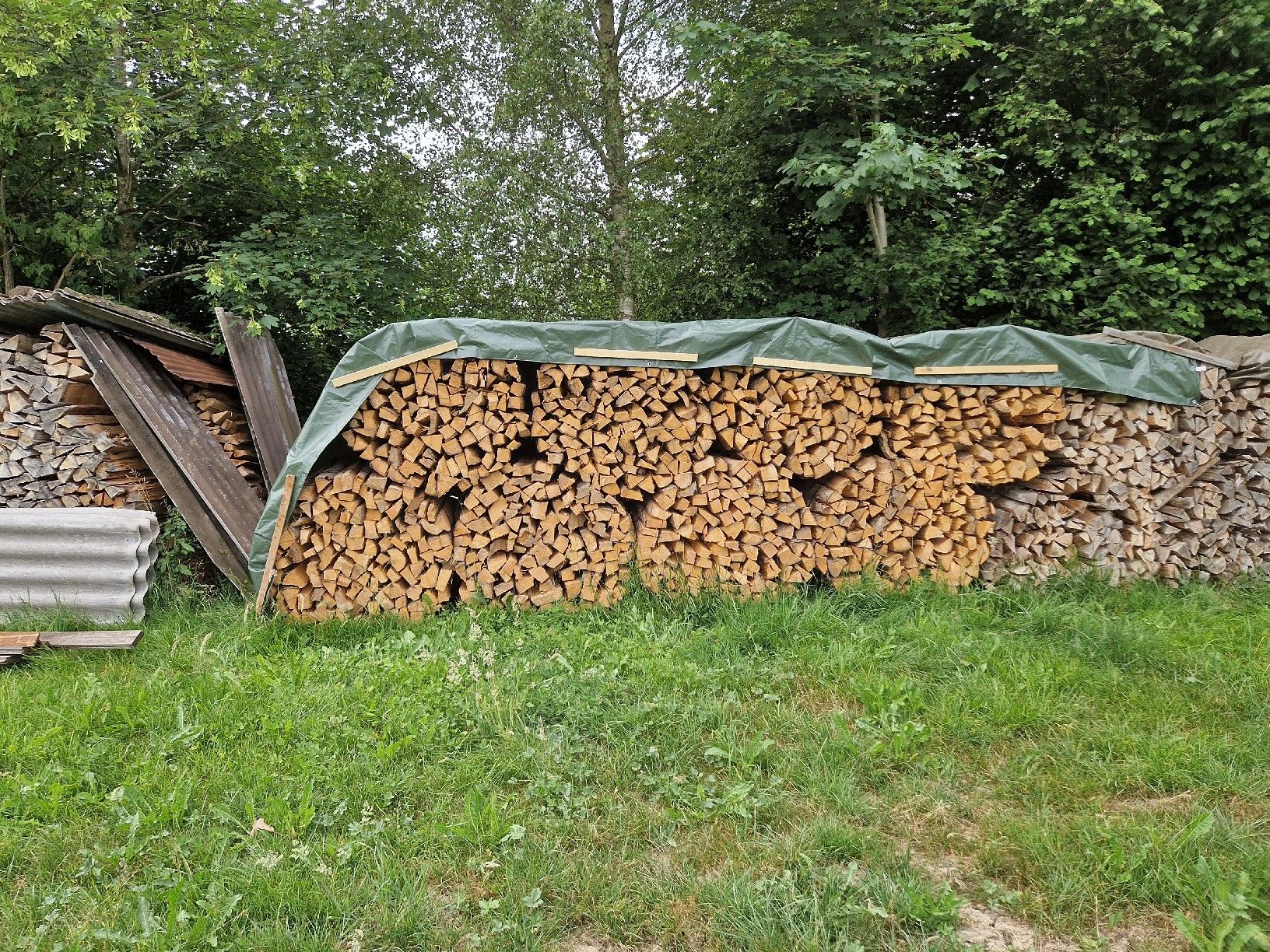 Articles en bois: Brennholz Fichte Tanne – Neuf (Voir description) à Hundwil par Vario312 1