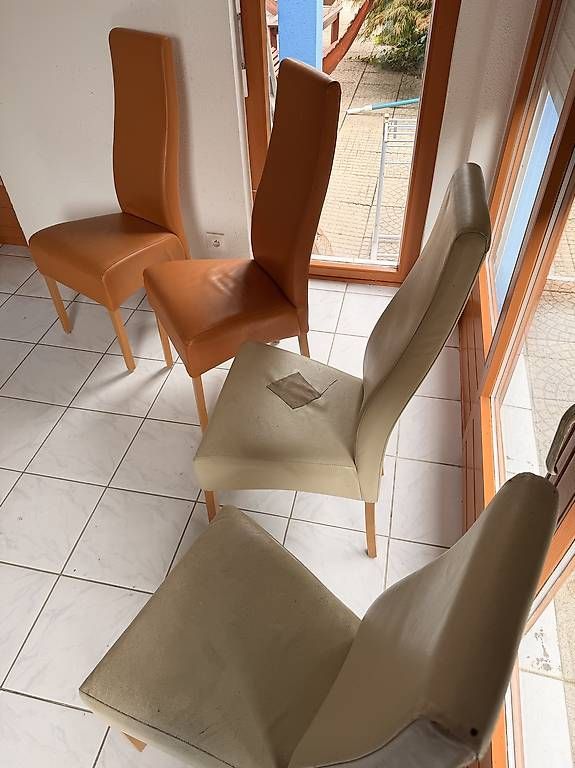 Chaises: Stühle – D'occasion à Muttenz par chr_sn22 1