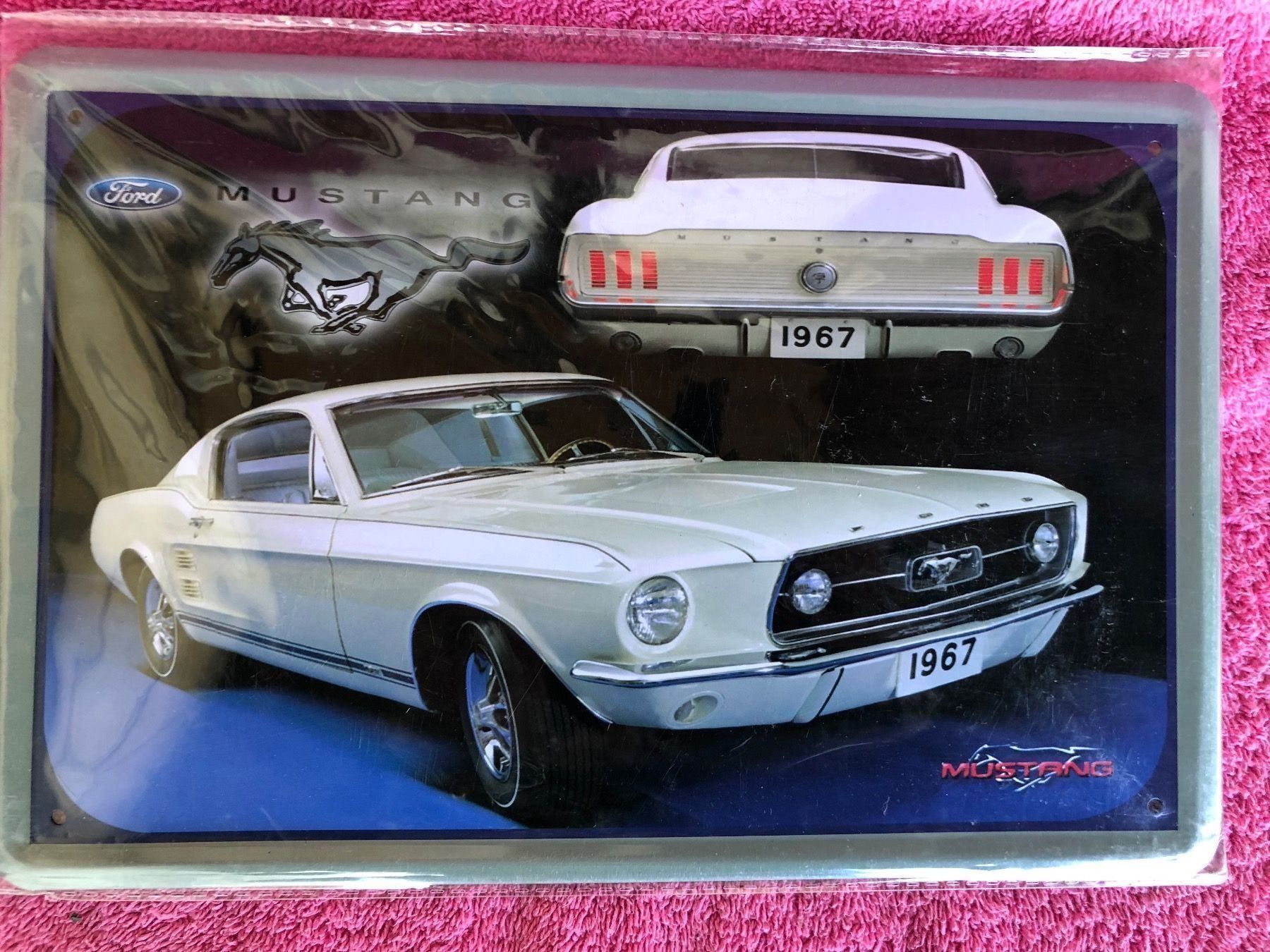 Insegne: Ford Mustang classic v8 fastback – Nuovo (secondo la descrizione) da Reinach AG venduto da rares75
