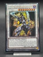 Yugioh Erleuchtungspaladin Quarter Century Secret Rare